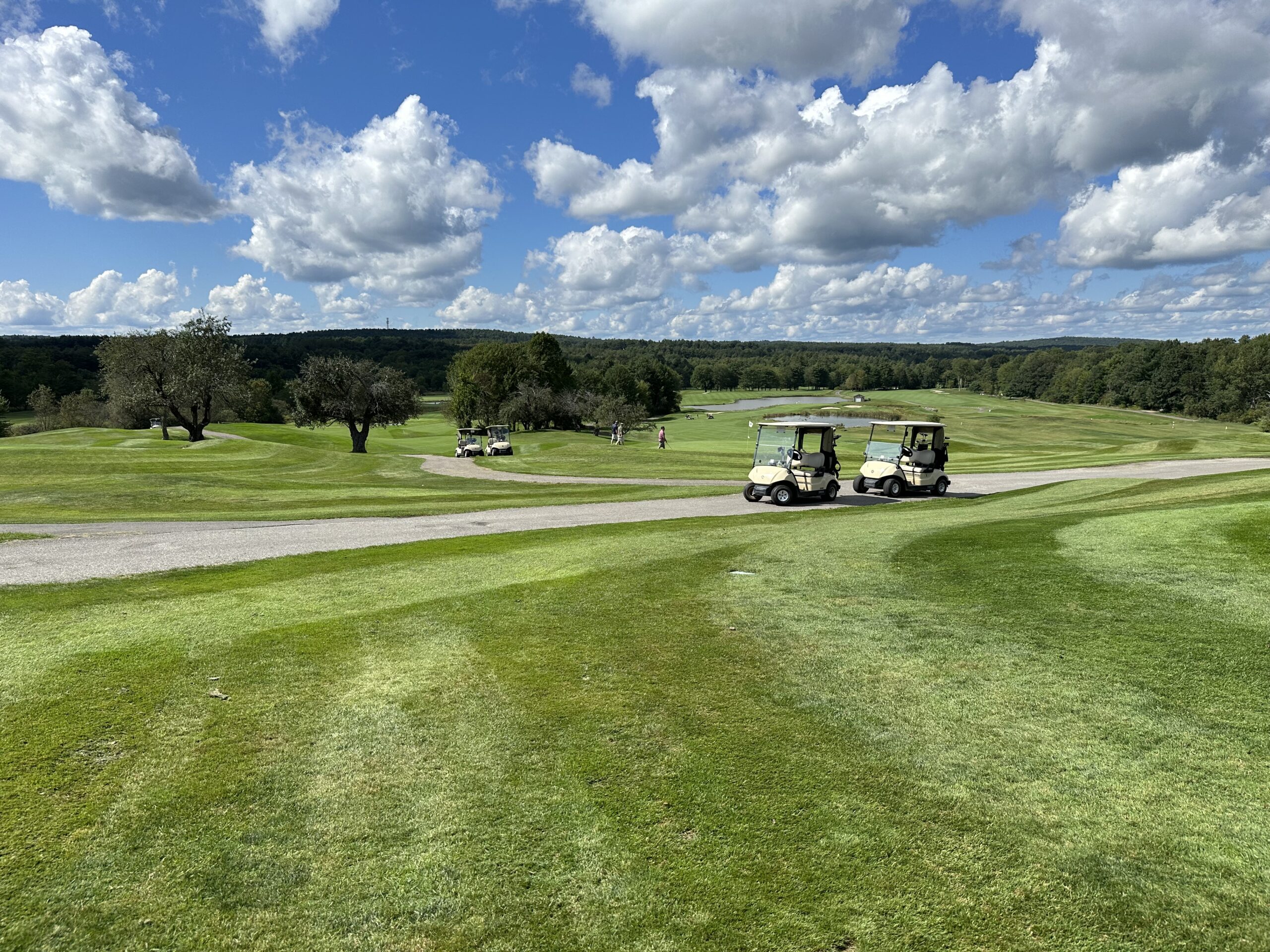 annual scholarship golf tournament